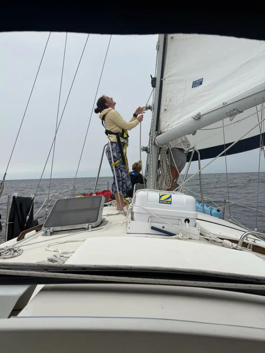 Sailing student in a safety harness hoisting the mainsail during a course